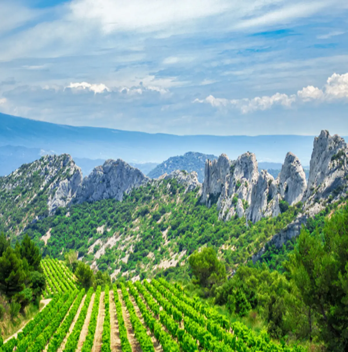Die Dentelles de Montmirail